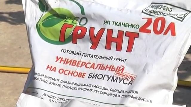 Виноград, малина, смородина, яблоки и груши. смотреть онлайн