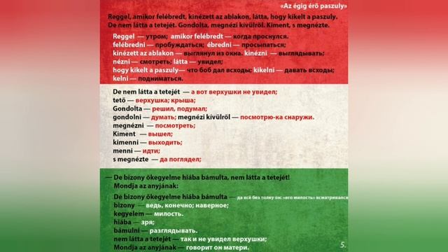 Анализ и обзор венгерской сказки #3 - Az égig érő paszuly (страница 5) смотреть онлайн