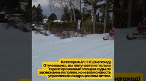 Категория B , Категория A1 ГНТ (права на снегоход/квадроцикл), Категория ВЕ ( прицеп для автомобиля
