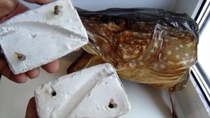 Изготовление воблера своими руками, видео.mpg