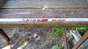 Лыжные палки Selekta. Новая версия.