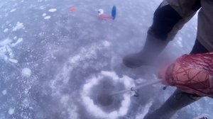 Зимняя рыбалка на жерлицы 2019-2020  "Сурское вдхр"