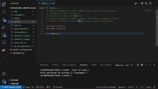 Linguagem C -  Eleitor # 2 #linguagemc #logicalprogramming