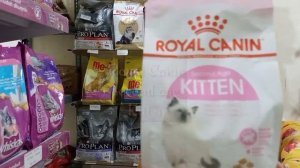 Review Dry Food Kucing Royal Canin - Makanan kering kucing | Merek Royal Canin || Cacapetshop