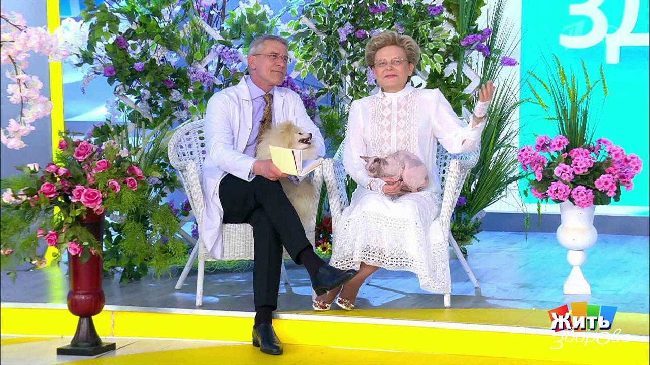 Жить здорово! Выпуск от 13.04.2021