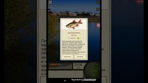 мобильная русская рыбалка начало рзвития (1)