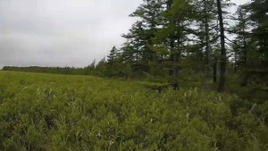 3 07 19 Чингай трофей