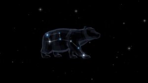 Большая медведица(Ты созвездие, конечно, и живешь своею жизнью.Той, что люди до конца еще(наброски)