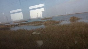 Электричка Евпатория - Саки КЖД 2019