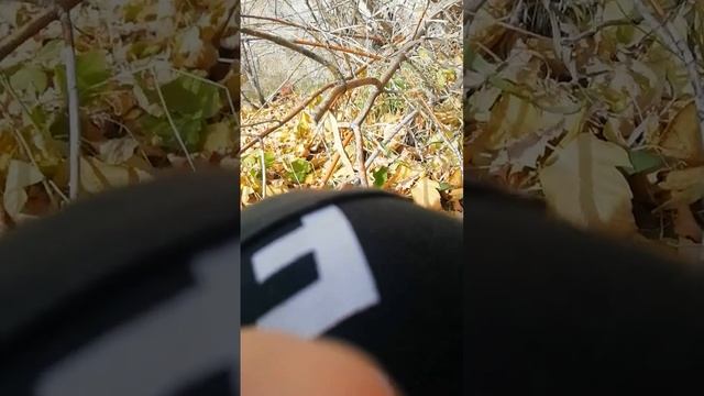 Нашли компьютер Сзади дома моего друга!!! смотреть онлайн