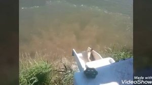 Запуск карпа на большой водоем в кокино