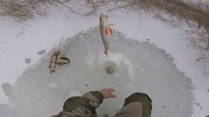 Зимняя   рыбалка в Астрахани на щуку