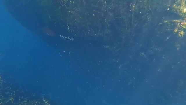 Exploring Wekiwa Springs State Park | Florida's Natural Springs | 2022 Travel Vlog смотреть онлайн