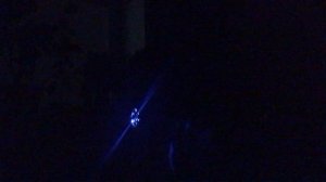 Мой самый главный человек