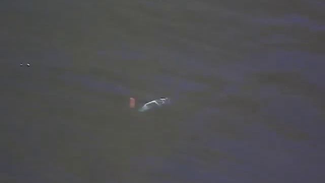 Игра микроколебалок смотреть онлайн