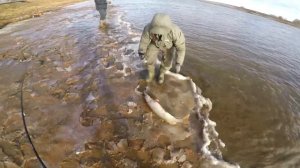 Рыбалка в Сургуте   Закрыли Сезон крупной щукой!