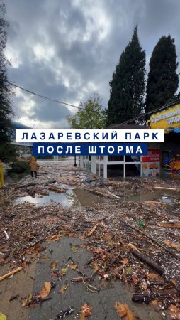 Парк в Лазаревском во время шторма днем 27 ноября 2023