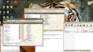 Как запустить Asterix and Obelix XXL на Windows 7 8 8.1 10