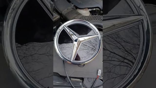 2015 Mercedes-Benz illuminated star and fuse box