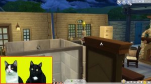 Gatos Luna y Estrella Lola embarazada en la vida en el pueblo de los SIMS 4 / Videos de gatitos