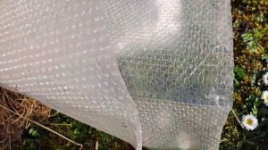 Удаляем поросль в саду.