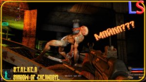 LS S.T.A.L.K.E.R. Shadow of Chernobyl "Туда и Обратно" Прохождение Часть 28