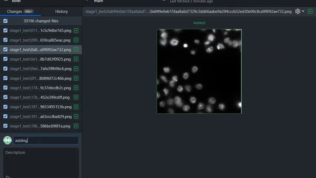 #GitHub to #Colab: Exporting and Accessing Datasets