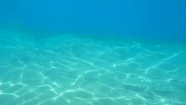 Что происходит сейчас в Египте ??  / Paradise Abu Soma Resort 4*  Пляж и питание