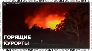 "Актуальный репортаж": лесные пожары охватили курортную Турцию и Грецию - Москва 24