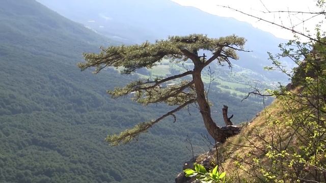 #Lazo Studio КРЫМ "Видео визитка №12" смотреть онлайн