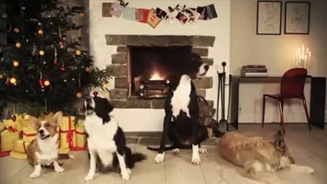 Christmas dogs song Песня рождественская в исполнение собак смотреть онлайн