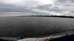 ЛОВИМ ЩУКУ ТРОЛЛИНГОМ С ЛОДКИ НА РЕКЕ ПЕЧОРА