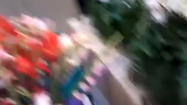 КОМПОЗИЦИИ ИЗ ЦВЕТОВ смотреть онлайн