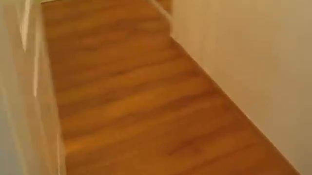 Budapest VI. kerület Király utcai lakás смотреть онлайн