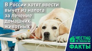 В России хотят ввести вычет из налога за лечение домашних животных
