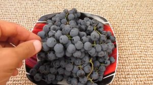 Заморозка винограда: как все просто сделать