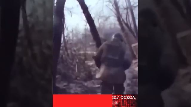Прорыв обороны ВСУ: боевики отступают за реку Оскол
