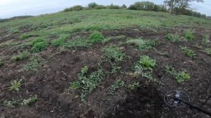 SIMPLEX ULTRA ПРОДОЛЖАЮ ПРИСЛУШИВАТЬСЯ К СИГНАЛАМ!!