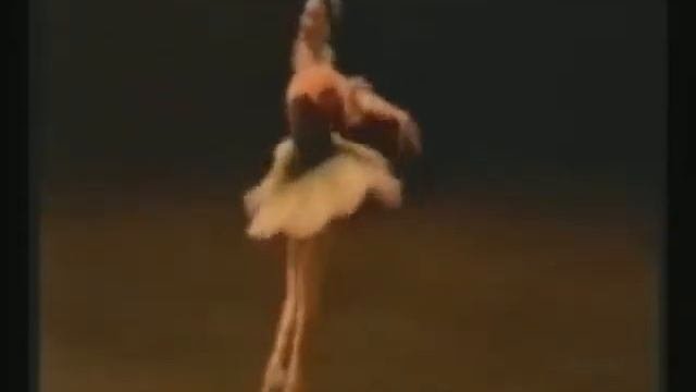 СПб Елена Шешина 2003