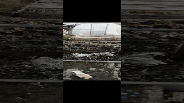 Сезон открыт?