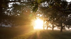 Музыка для бодрого и веселого утра / Music for a cheerful and cheerful morning