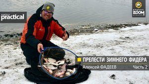 Прелести зимнего фидера. Алексей Фадеев.  Часть 2
