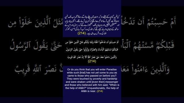 Surah Al-Baqarah Ayah/Verse/Ayat 214 Recitation (Arabic) with English and Urdu Translations