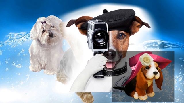 Новый год у порога! смотреть онлайн