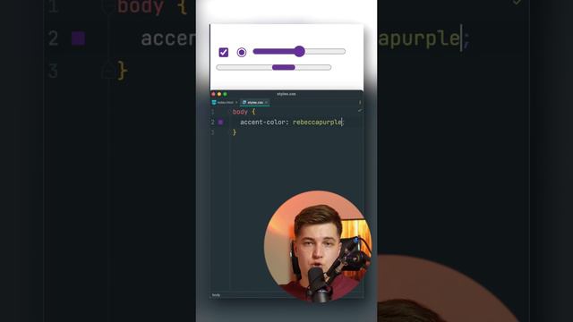 CSS Меняем встроенный цвет полей ввода — accent-color