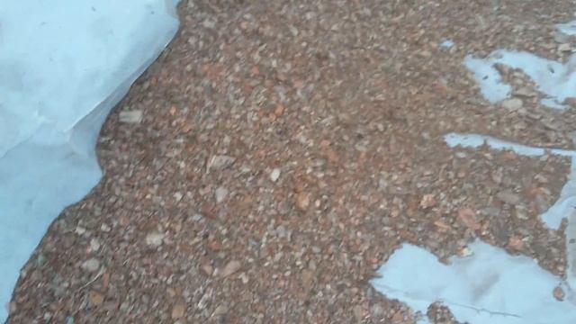 Сосновая мульча. смотреть онлайн