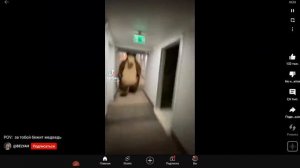 пов за тобой бежит медведь из маши