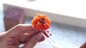 Бархатцы из фасолевой пасты bean paste