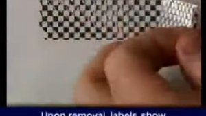 Гарантийные этикетки вскрытия Brady B-438