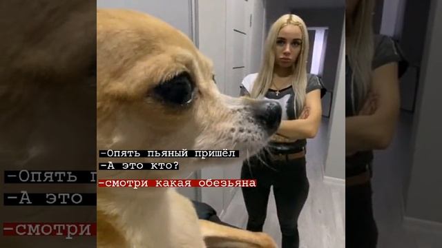 ОБЕЗЬЯНА 😂🔥🙈